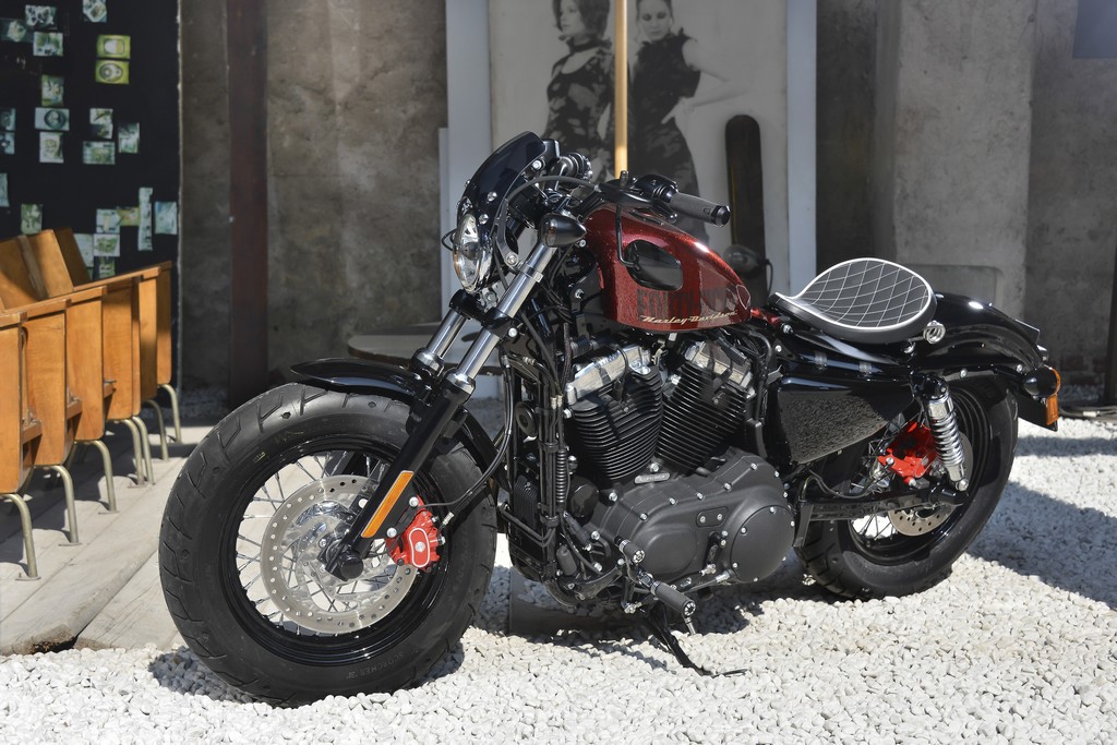 Harley-Davidson Sportster Forty-Eight-25