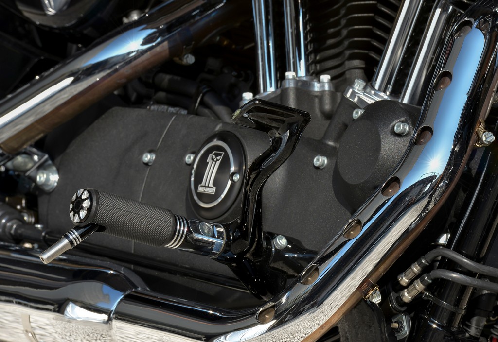 Harley-Davidson Sportster Forty-Eight-5