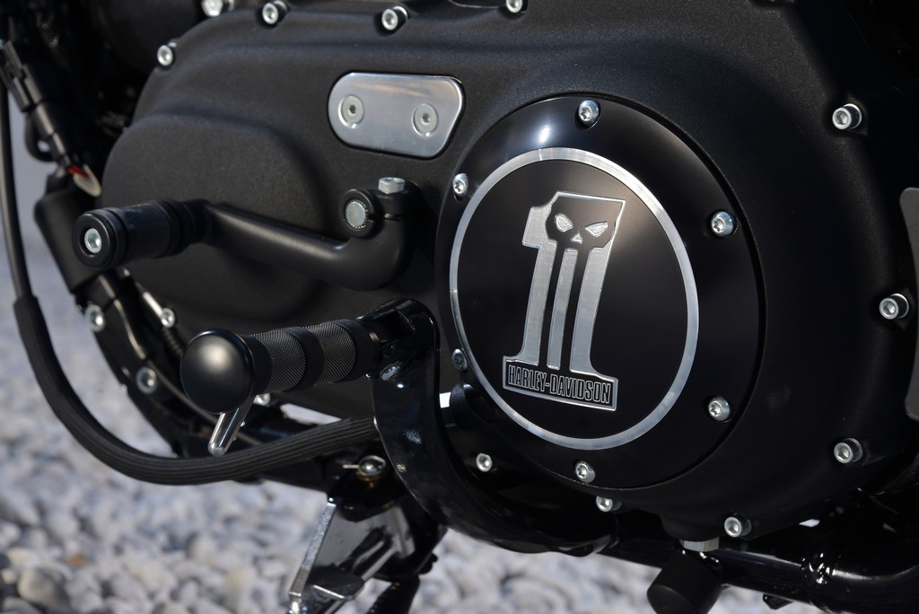 Harley-Davidson Sportster Iron 883-17