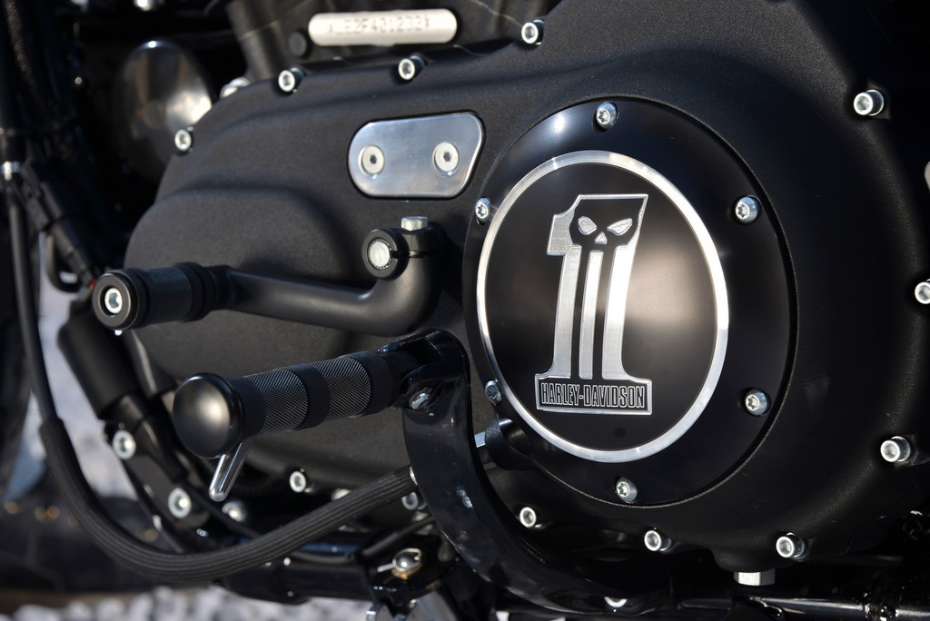 Harley-Davidson Sportster Iron 883-22