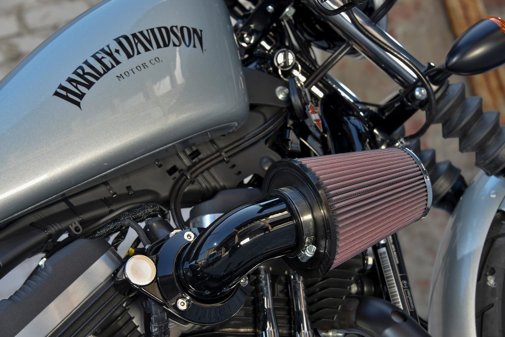 Harley-Davidson Sportster Iron 883-4