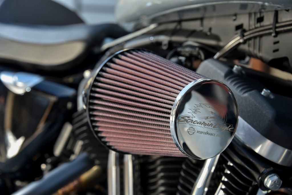 Harley-Davidson Sportster Iron 883-6