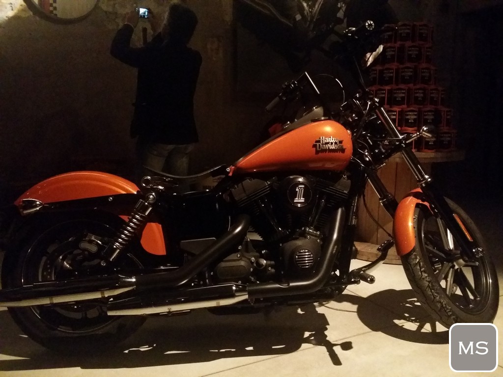 Harley-Davidson WeAreCustom 2015-15
