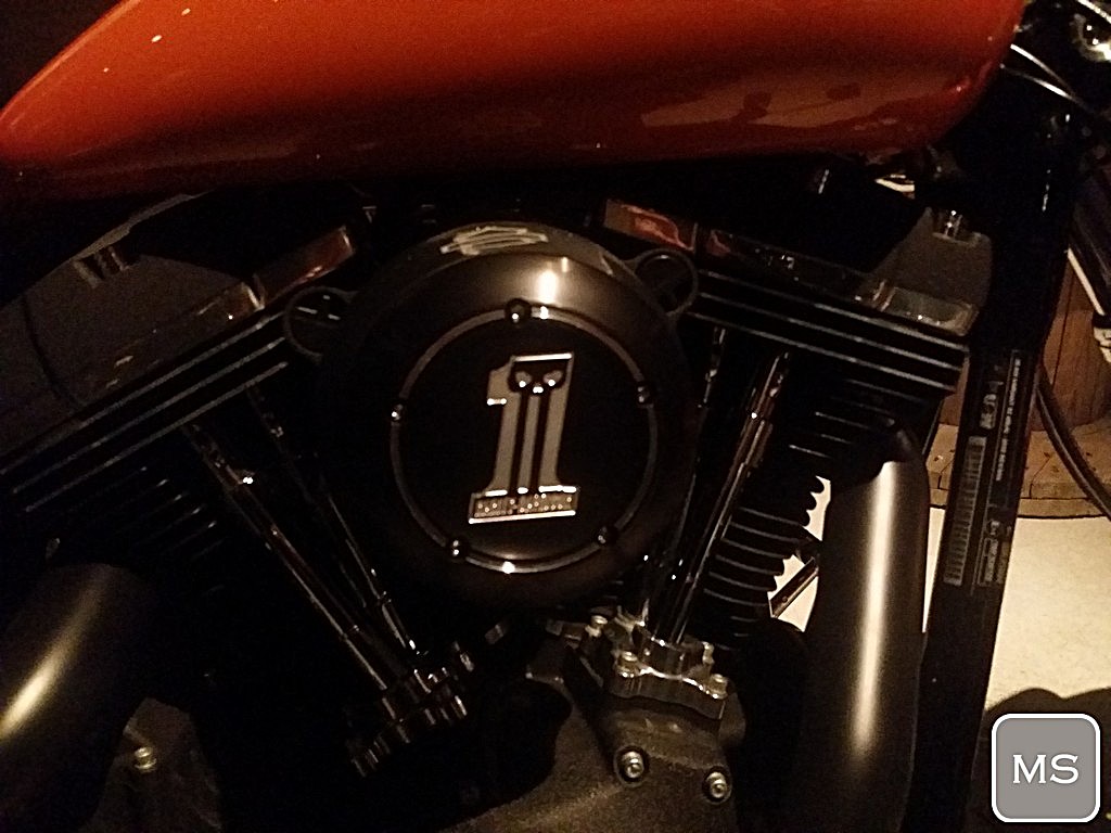 Harley-Davidson WeAreCustom 2015-18