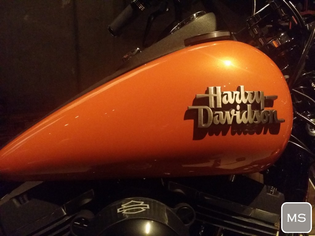 Harley-Davidson WeAreCustom 2015-19