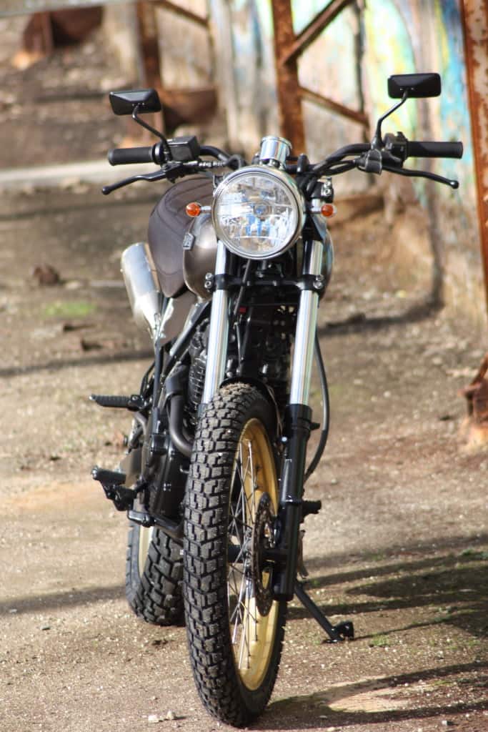 Honda Dominator Scrambler 3