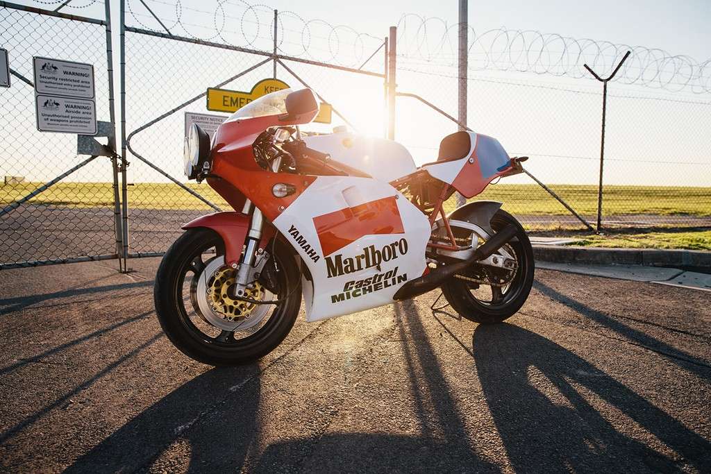 Yamaha TZ Unicorn 14