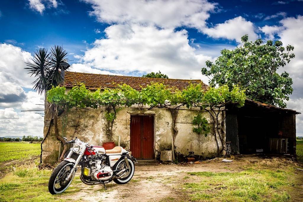 HD Ironhead Cafe Racer 3
